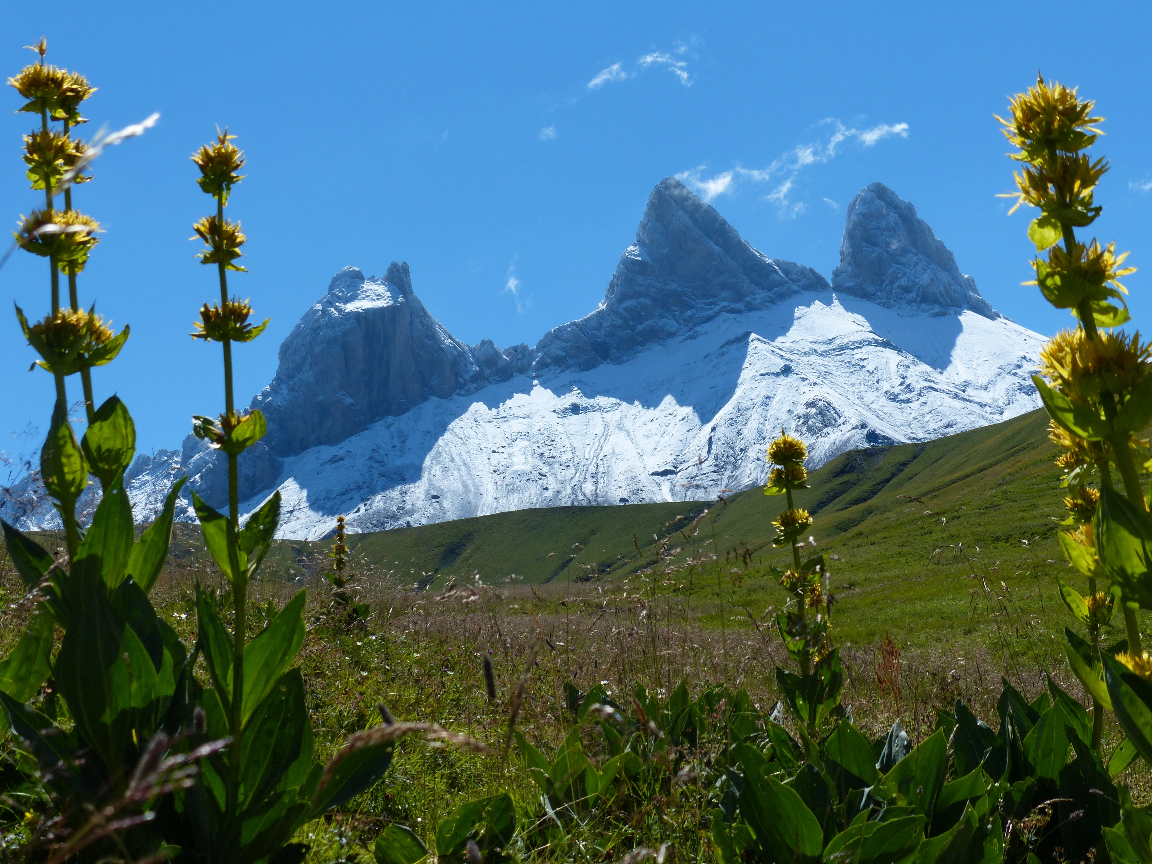 Trek de 7 jours tour des aiguilles d'arves